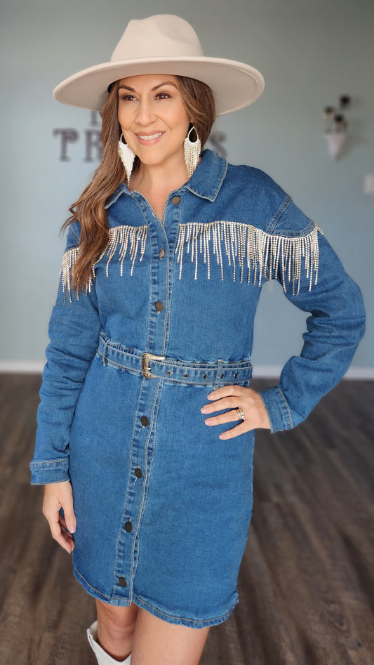 The One and Only Denim Dress-Medium Wash